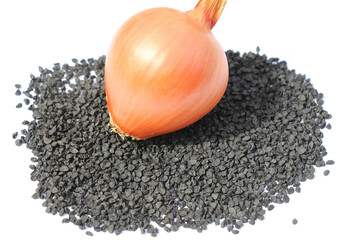 Onion seeds that will be planted in the soil