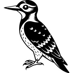 woodpecker silhouette vector illustration svg file
