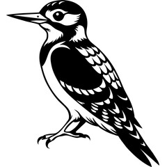 woodpecker silhouette vector illustration svg file
