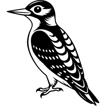 recommend clip art: woodpecker silhouette vector illustration svg file
                    