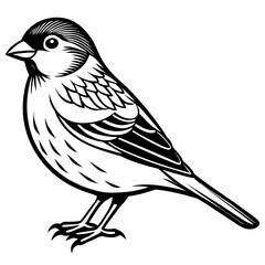 Obraz premium finch silhouette vector illustration svg file 
