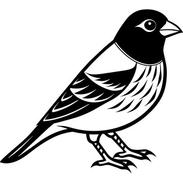 recommend clip art: finch silhouette vector illustration svg file
                    