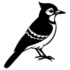 blue-jay silhouette vector illustration svg file
