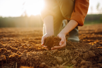 Women's hands sort through fertile soil in the field. Farmer checks the quality of the soil....