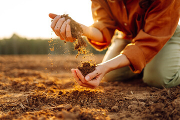 Women's hands sort through fertile soil in the field. Farmer checks the quality of the soil....