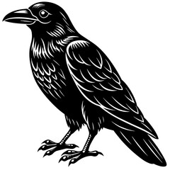 Fototapeta premium crow silhouette vector illustration svg file 