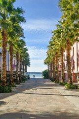 Palm-lined street leading to the lake in the medieval village overlooking Lake Garda, Sirmione,...