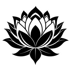 Black white Lotus flower isolated