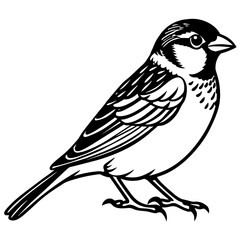 sparrow silhouette vector illustration svg file
