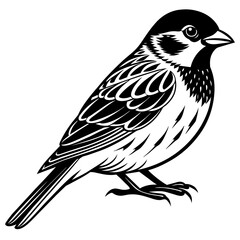 sparrow silhouette vector illustration svg file
