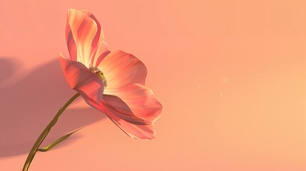 Obraz premium A wonderful flower on background, a sight of pure beauty. Colorful and vibrant, it's a beautiful natural sight.