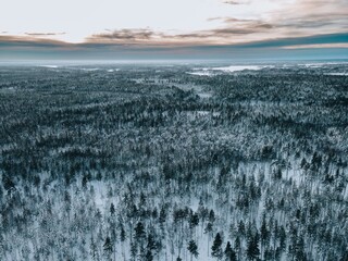 Winter Snow Landscape in Sweden by Drone