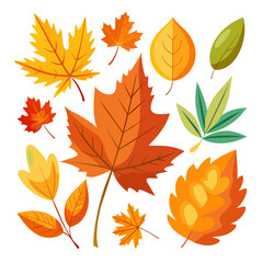 Obraz premium Palm leaf