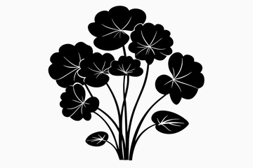 indian pennywort silhouette black vector illustration