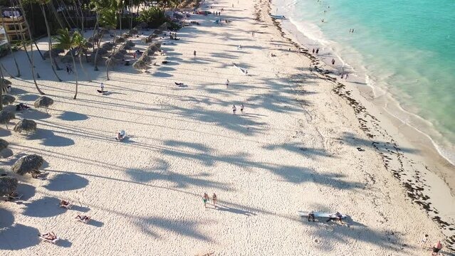 Aerial view of tourists relax on sun loungers under palm trees on beach in Caribbean Sea, enjoying sunset view. Beach umbrellas create vivid picture against turquoise waters.