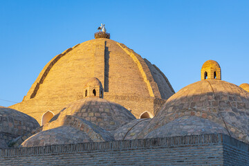 Domes of the Mir-i-Arab Madrasa in Bukhara. - 776225826