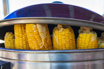 Steamed corn on the cob at a market in Bukhara. - 776227619
