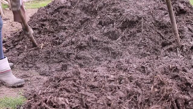 turning compost in garden with people stock video stock footage
