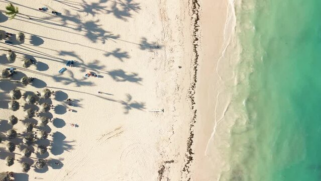 Aerial top view of tourists relax on sun loungers under palm trees on beach in Caribbean Sea, enjoying sunset view. Beach umbrellas create vivid picture against turquoise waters. Space for text 