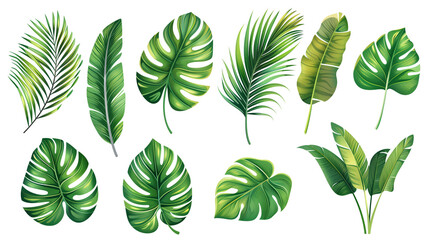 A collection of fresh green leaves in various shapes and sizes perfect for design projects
