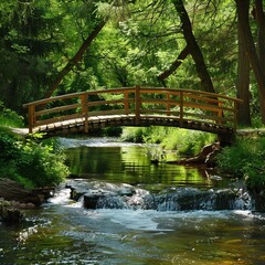 Bridge in the forest.