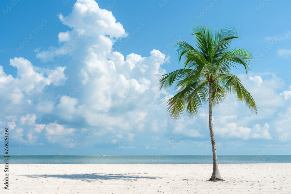 Poster a palm tree stands alone on a beach with a cloudy sky in the background. the scene is serene and pea