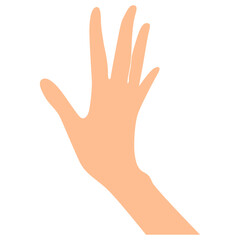 Fototapeta premium Hand Gesture Illustration