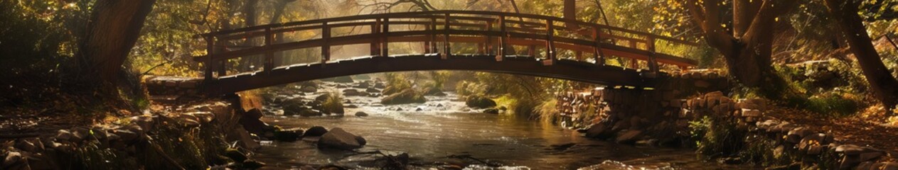 Bridge in the forest.