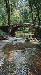 Bridge in the forest.