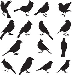 Set of Birds Black on white background