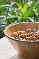 Assorted various nuts in a big wooden bowl against a leafy green background. Macro photography - 776259281