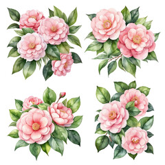 set of 4 bouquets of pink camelia  on white background, clipart, isolated