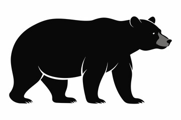 Vector silhouette of bear  on white background