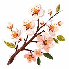 Apricot flowers stock photo