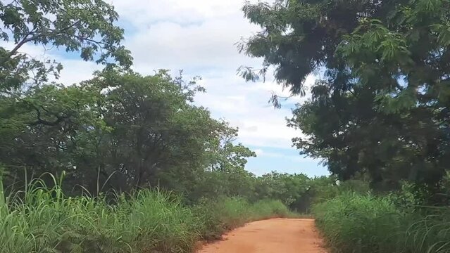 Time lapse dirigindo estrada de terra no distrito de Conselheiro Mata, na cidade de Diamantina, Estado de Minas Gerais, Brasil