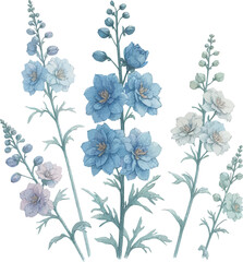 delphinium flower
in pastel colors, watercolor style in vector
