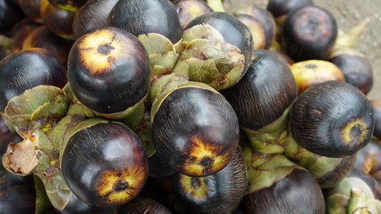 close up of palmyra palm fruit