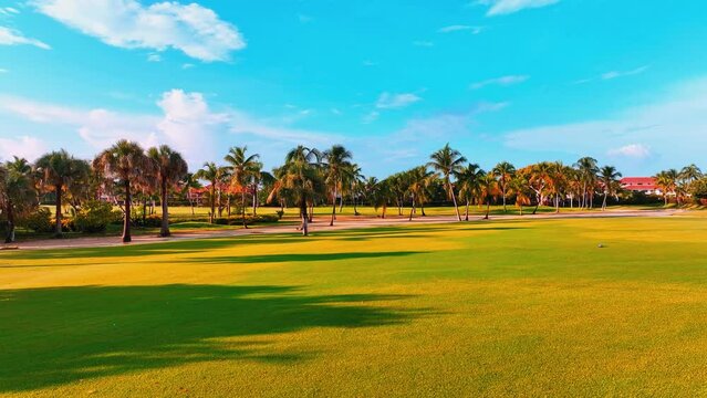 Summer walk in the evening tropical park. Natural landscape against a blue sky. Large trees with spreading crowns. Outdoor recreation. Landscape of a lawn with short-cut grass.