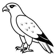  Premium vector | hawk falcon Line art outline of a beautiful bird - Vector illustration
