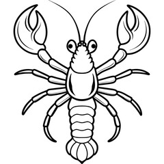 premium vector | colouring books for kids illustration of a Shrimp- Vector illustration