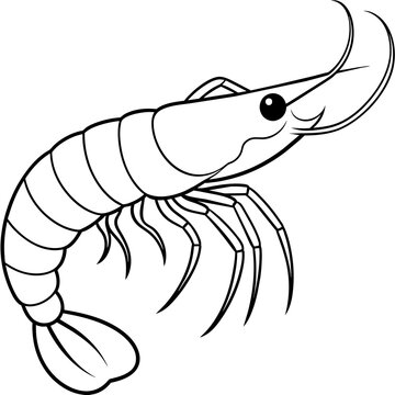 black and white shrimp outline