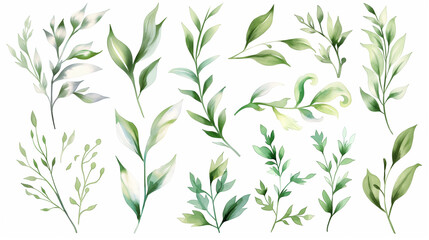 Watercolor floral illustration set - green leaf branches collection