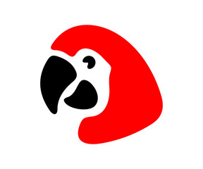 Macaw parrot head, ara parrot, birds, animals, avian and parakeet. Wildlife, nature, jungle, pet, fauna, feathered and rainforest, illustration