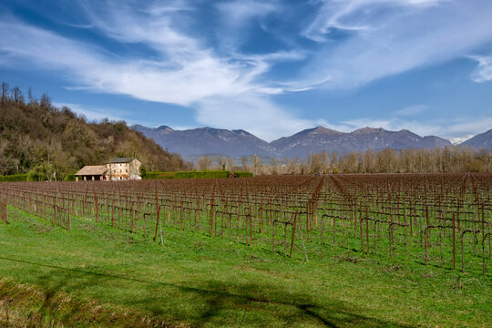 Prealpi Trevigiane, colli del prosecco