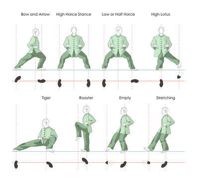 Tai Chi stances. 8 Basic Stances Vector Illustration. The bow and arrow stance, the hight horce stance, the low or half horce, the high lotus stance, the tiger stance, the rooster stance, the empty 