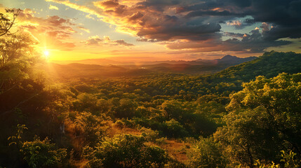 Fototapeta na wymiar The sun casts a golden light over a dense, lush forest, creating a vibrant and serene landscape at dawn with mountains in the distance.