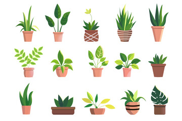 Fototapeta na wymiar Set of houseplants. Urban jungle for home. Different green plants in pots. Home, office decoration. Flat vector illustration isolated on white background