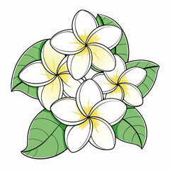 Plumeria flowers in continuous line art drawing style