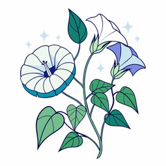 Two Moonflower in continuous line art stock
