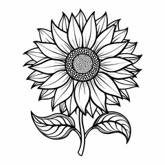 Natural Sunflower line art drawing